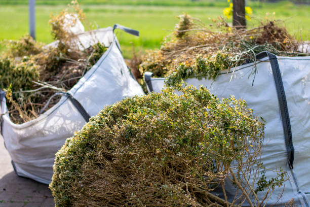 Best Basement Cleanout Services  in Miamisburg, OH